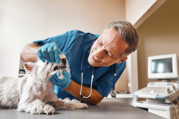 Best Weekend Emergency Dentist in Jackson, TN